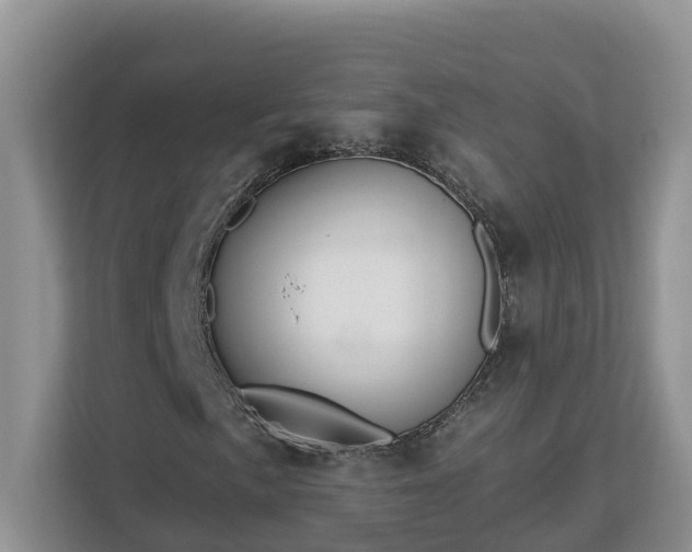 X0000113021057200909031227