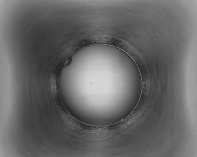 X0000113021058200909031227