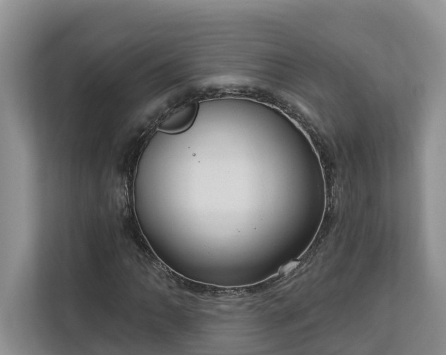 X0000113021062200909031227