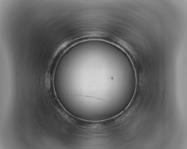 X0000113021067200909031227