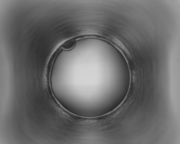 X0000113021068200909031227