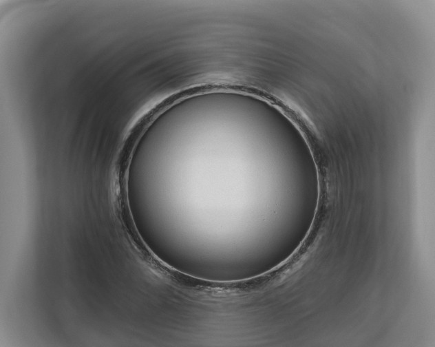 X0000113021070200909031227