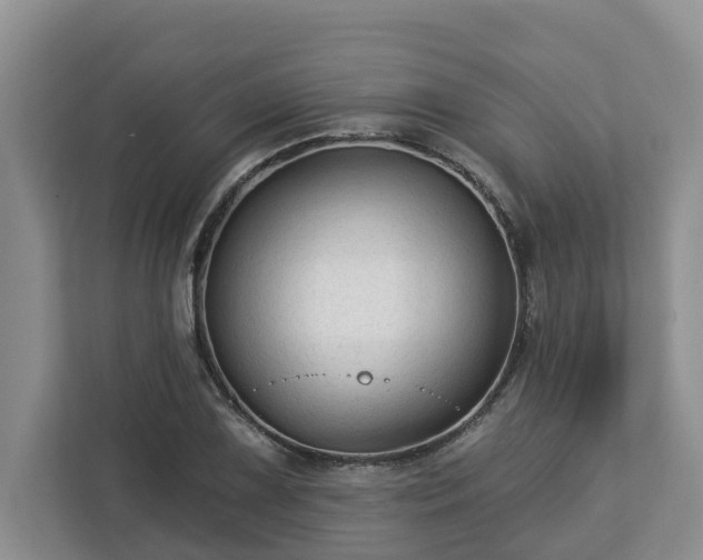 X0000113021075200909031227