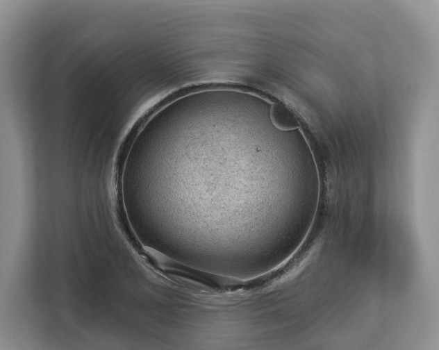 X0000113021077200909031226