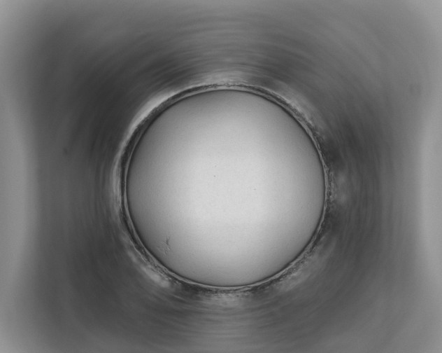 X0000113021078200909031226