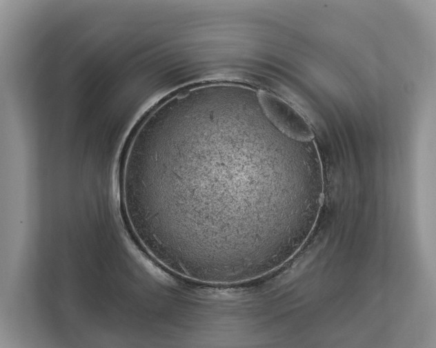 X0000113021084200909031226