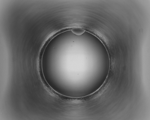X0000113021085200909031226