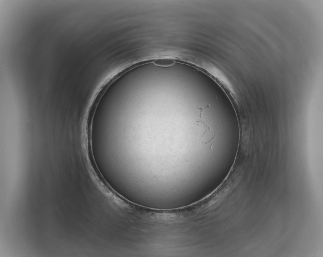 X0000113021088200909031226