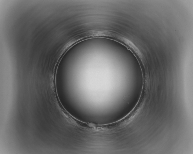 X0000113021089200909031226
