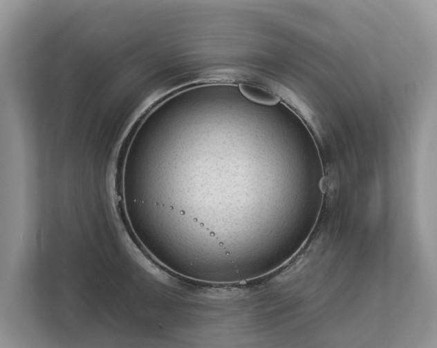 X0000113021091200909031226