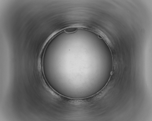 X0000113021092200909031226