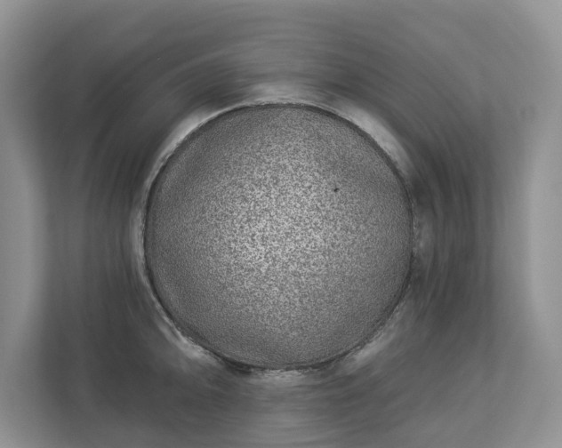 X0000113021094200909031226