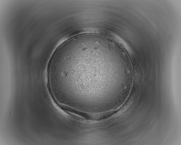 X0000113021095200909031226