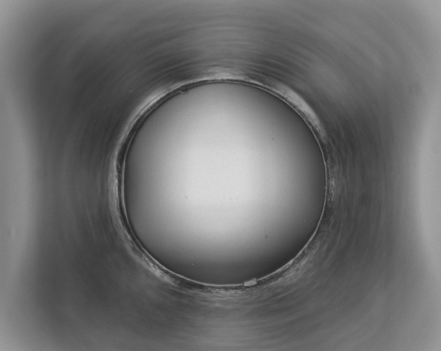 X0000113021096200909031226