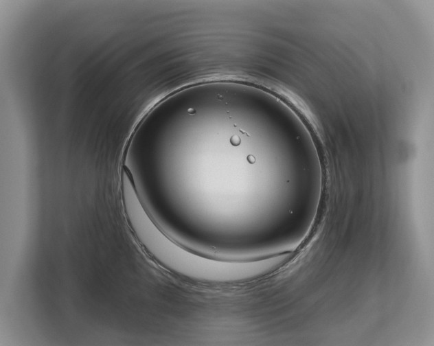 X0000113021097200909031226