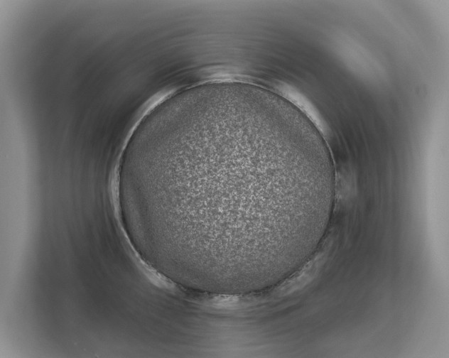 X0000113021098200909031226