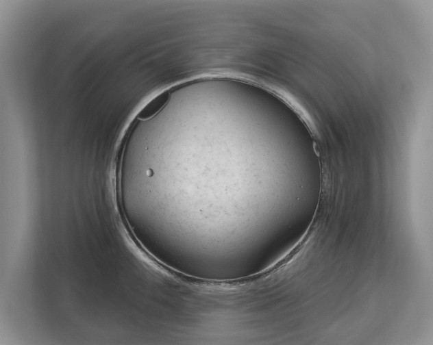 X0000113021100200909031226