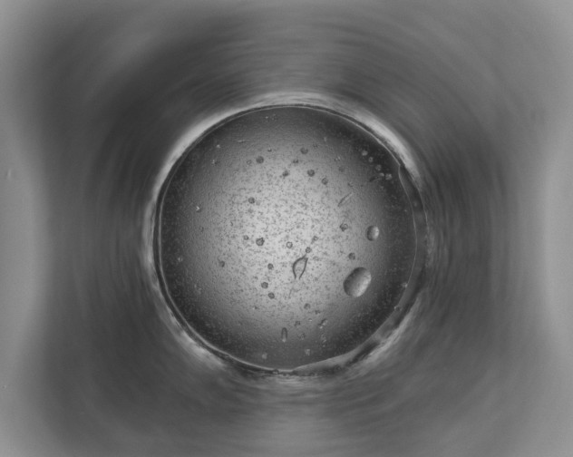 X0000113021102200909031226