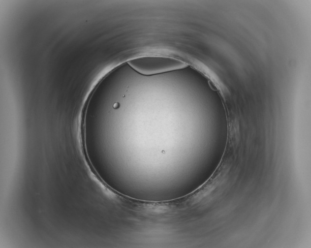 X0000113021103200909031226