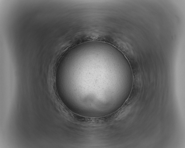 X0000113021105200909031226