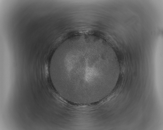 X0000113021106200909031226
