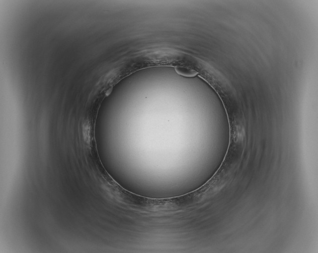 X0000113021108200909031226