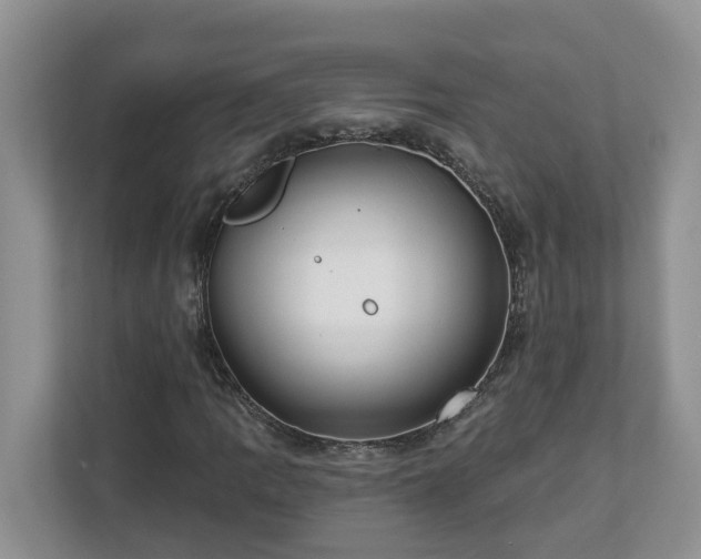 X0000113021109200909031226