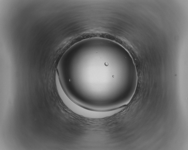X0000113021110200909031226