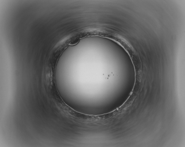 X0000113021111200909031226