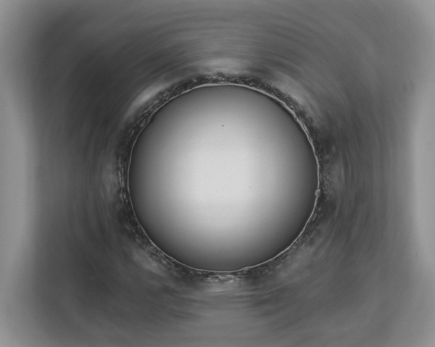 X0000113021112200909031226