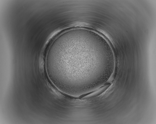 X0000113021115200909031226