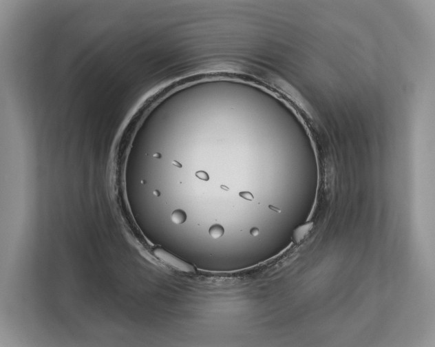 X0000113021116200909031226