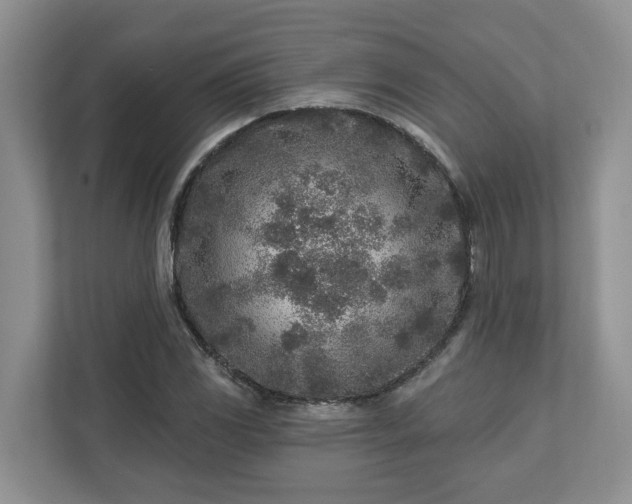 X0000113021117200909031226