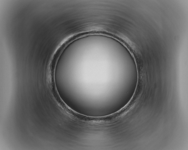 X0000113021118200909031226
