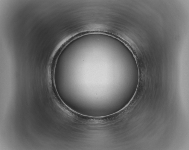 X0000113021120200909031226