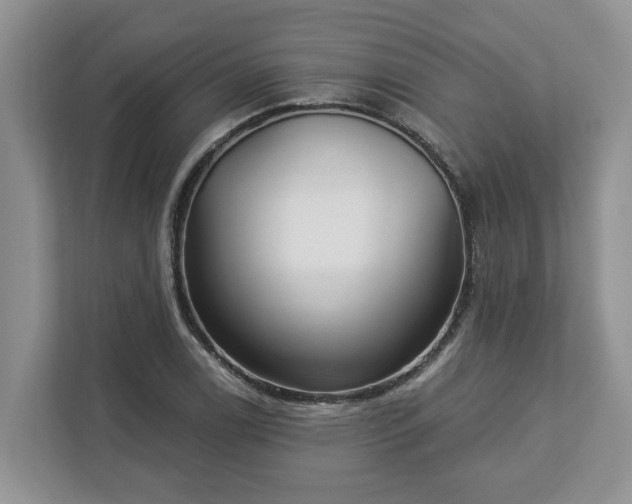 X0000113021122200909031226