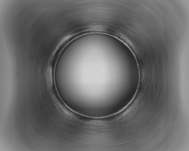 X0000113021123200909031226