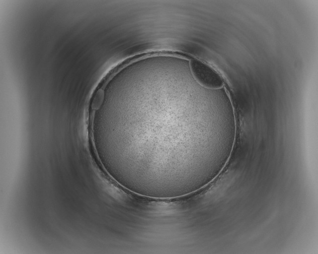 X0000113021124200909031226