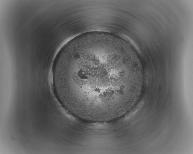 X0000113021125200909031226