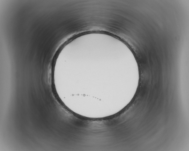 X0000113021126200909031226