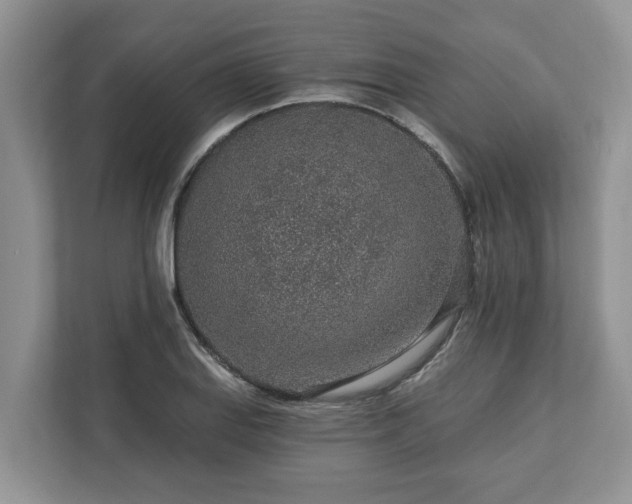 X0000113021127200909031226