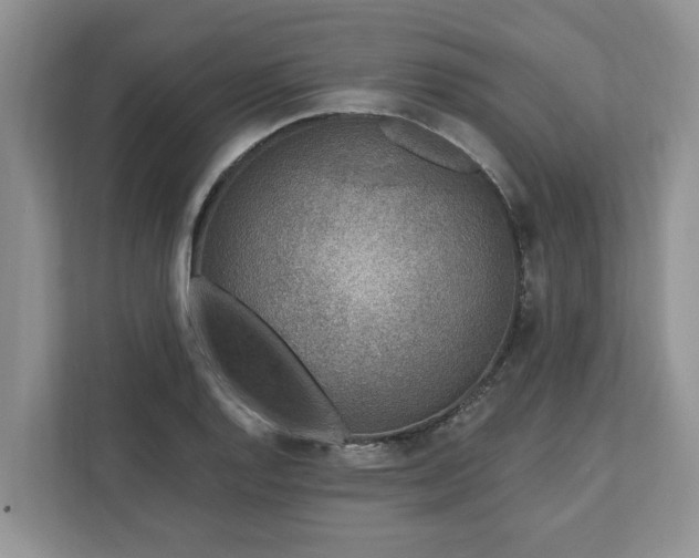 X0000113021128200909031226