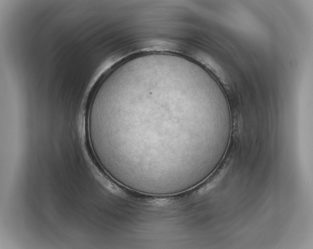 X0000113021130200909031226