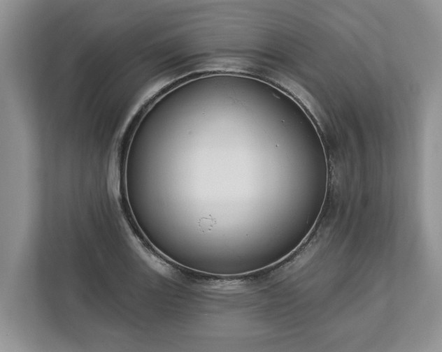 X0000113021131200909031226
