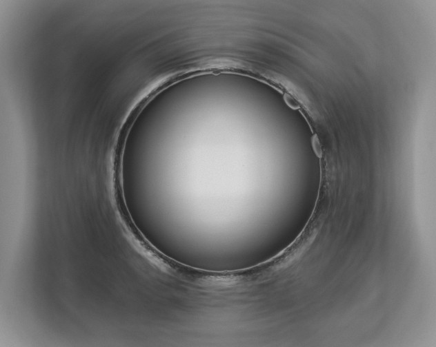 X0000113021134200909031226