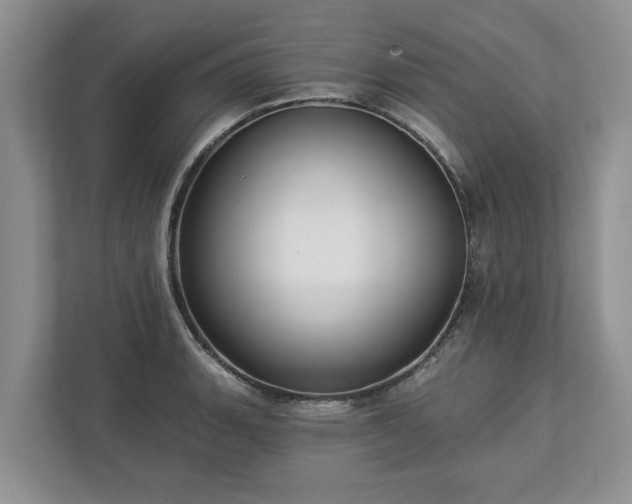 X0000113021135200909031226