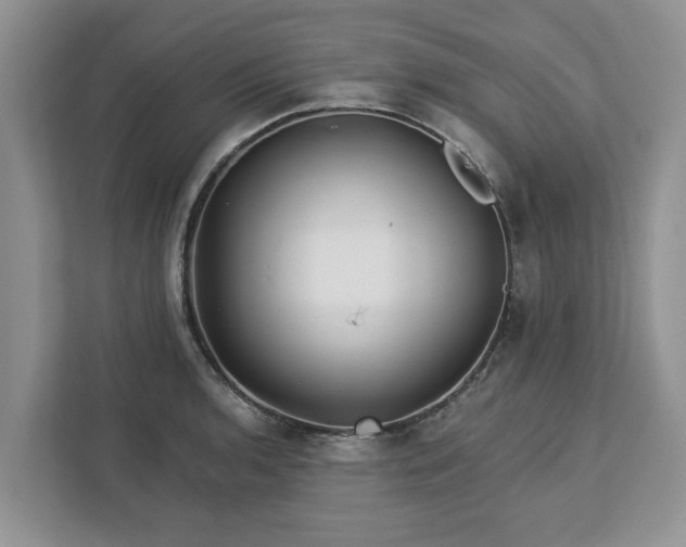X0000113021136200909031226