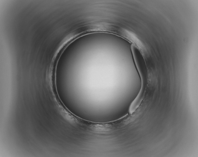 X0000113021138200909031226