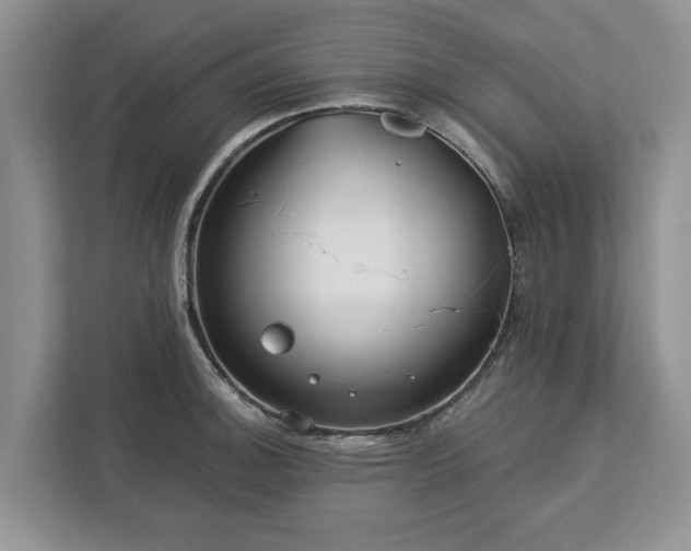X0000113021140200909031226