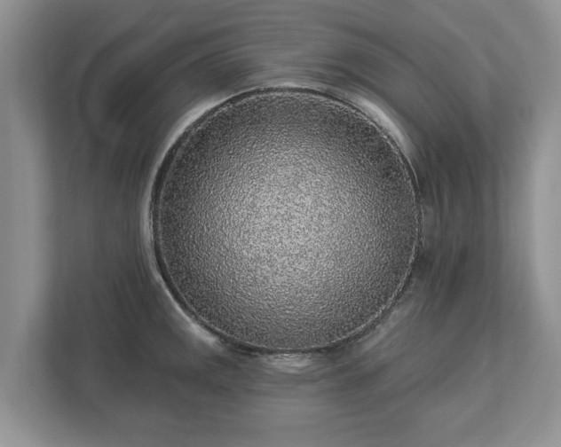 X0000113021141200909031226